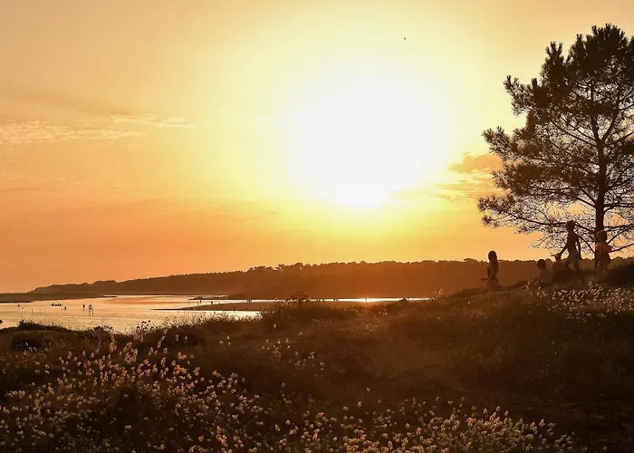 Les Bosquets 3 - Piscine Chauffee בית נופש Talmont-Saint-Hilaire